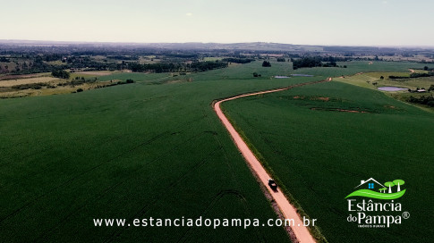 INICIO 3.00_00_20_18.Quadro003_55b805c8d038ccf7af3f09a391e0268e8f343adf.jpg